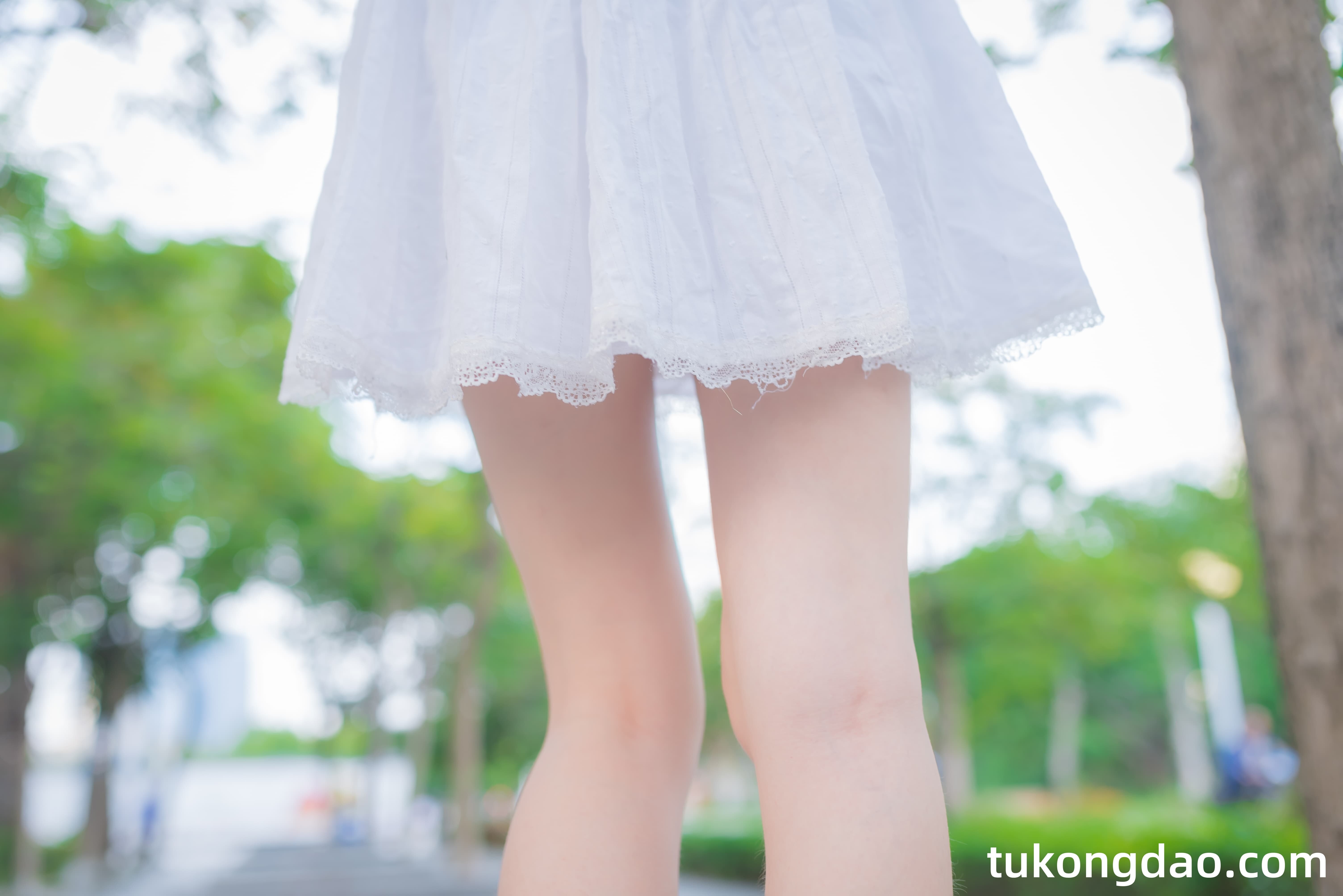 tukongdao.com (44)