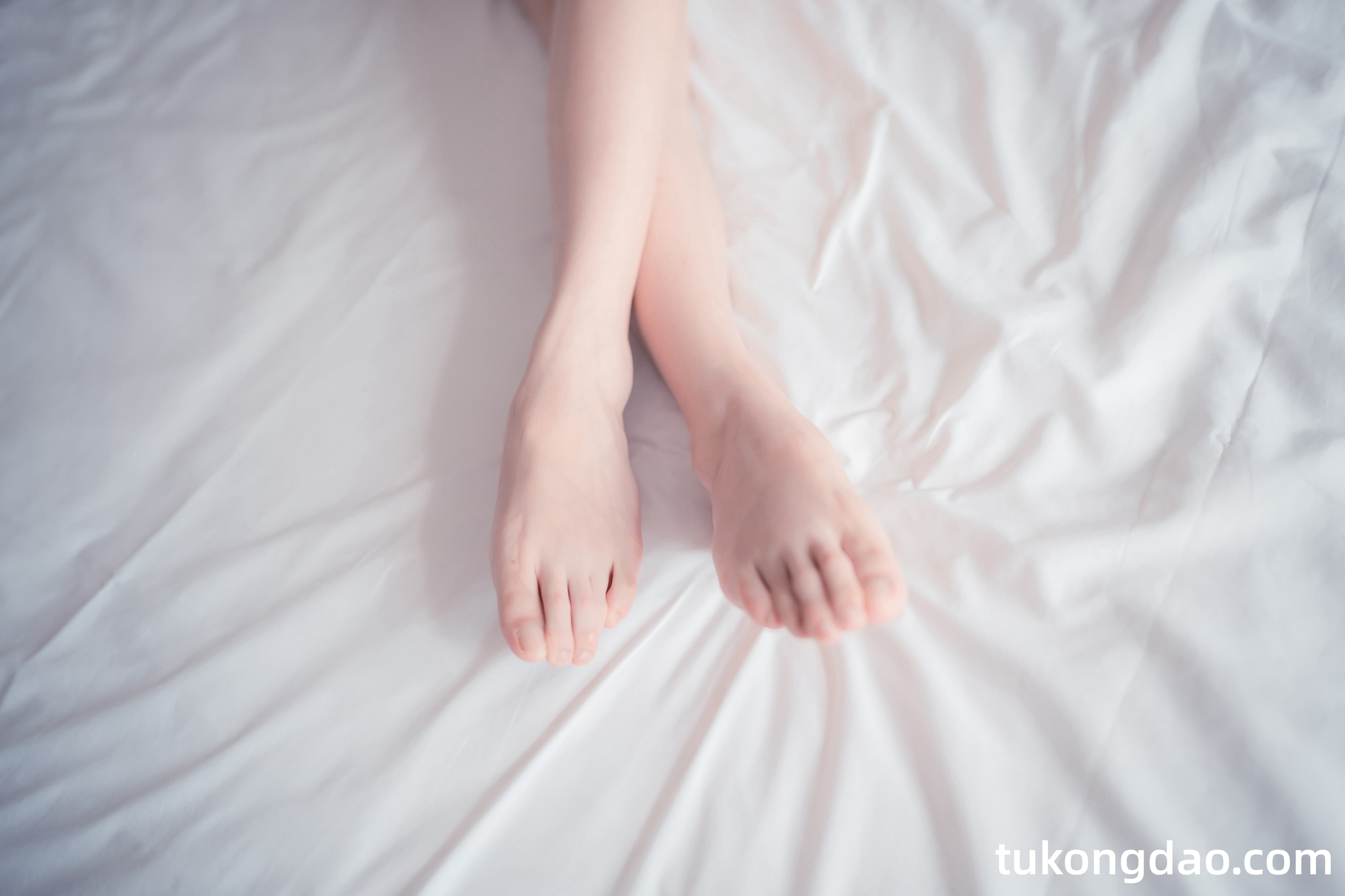 tukongdao.com (41)
