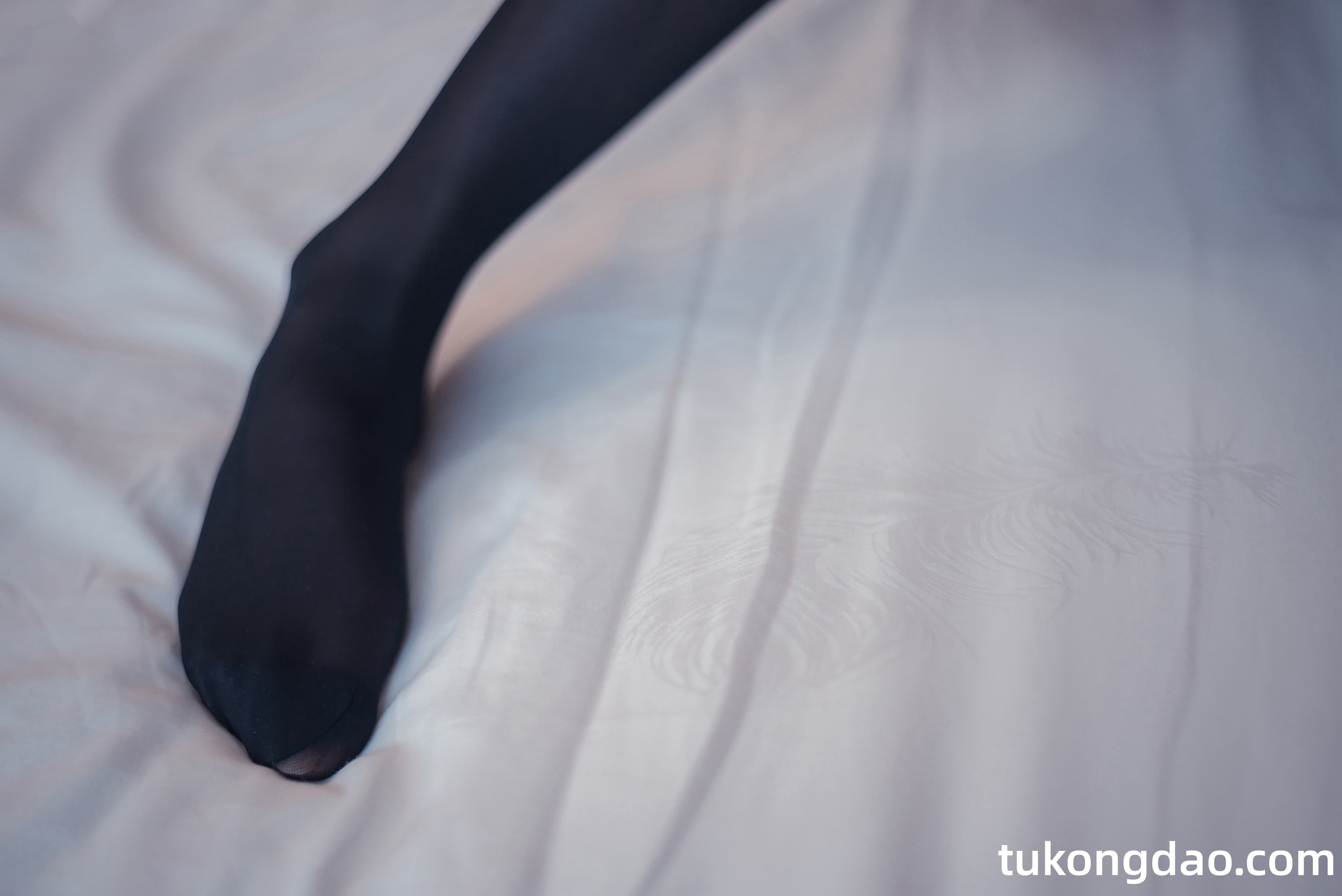 tukongdao.com (10)